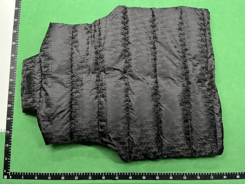 Dior Oblique Puffer Vest [7 styles] -3