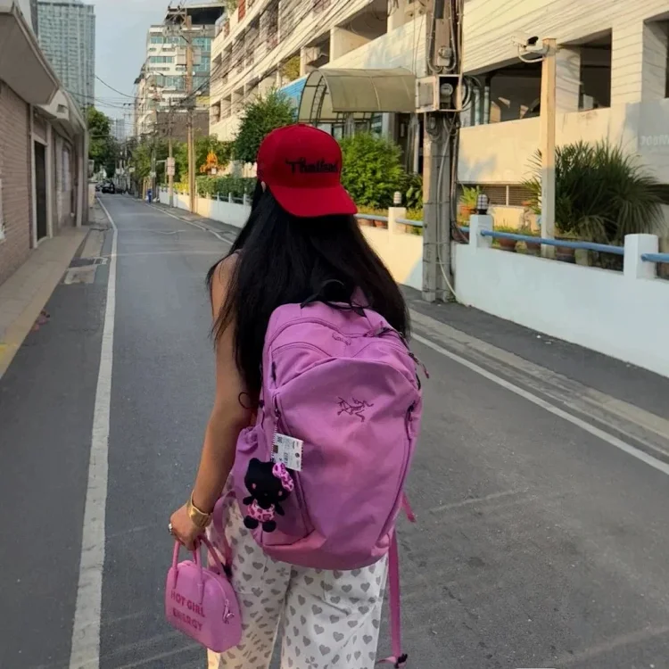  ArcrTeryx bags