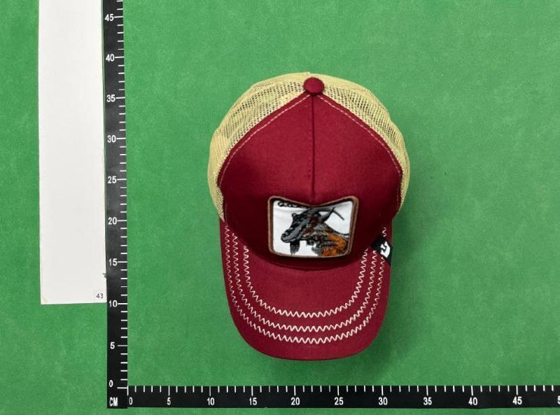  Animal Cap -3