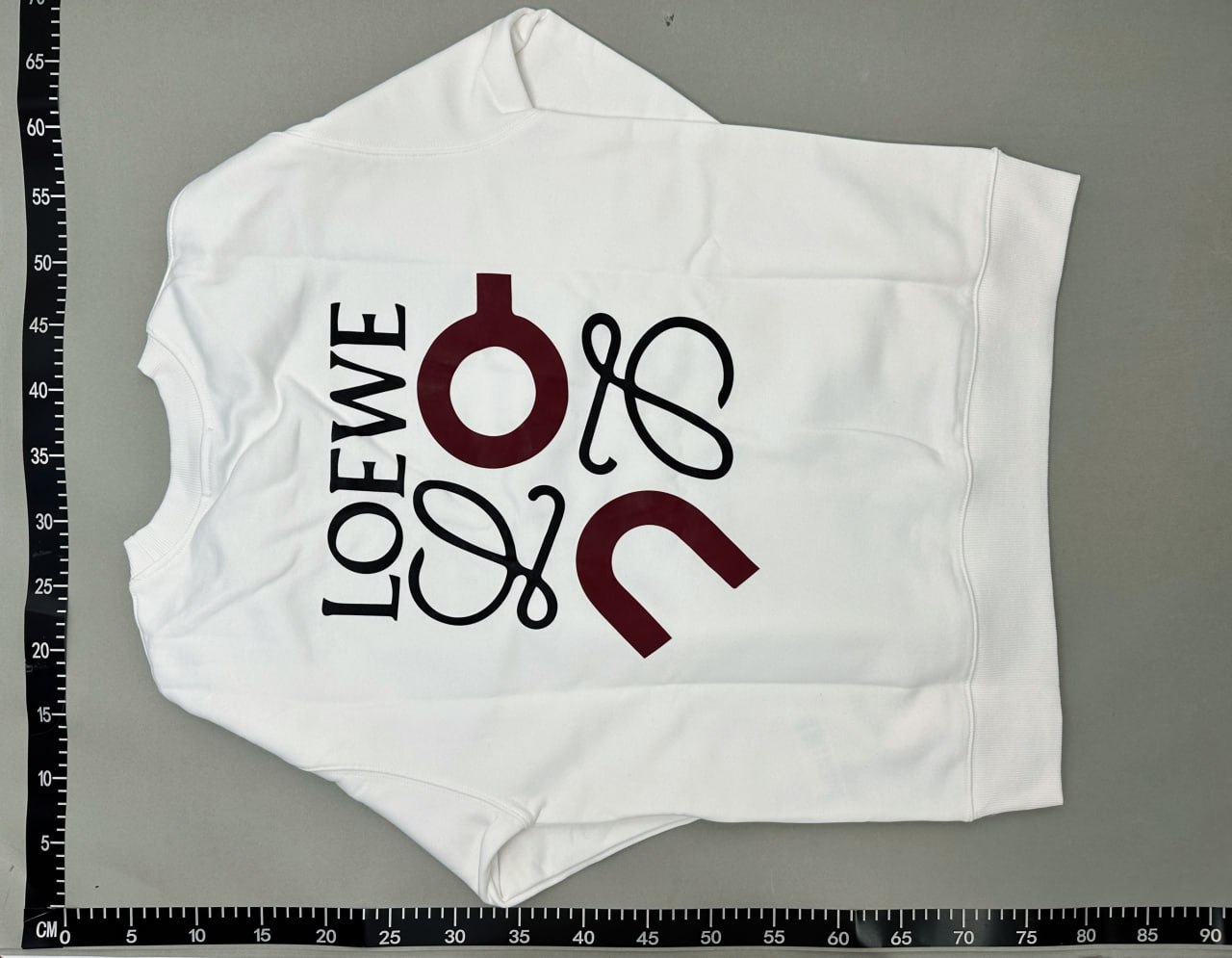 Loewe Hoodie -4
