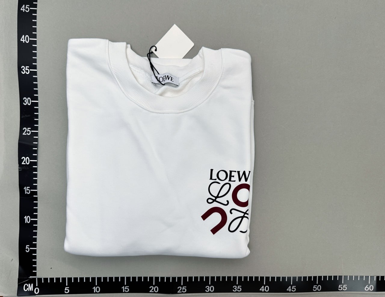 Loewe Hoodie -2
