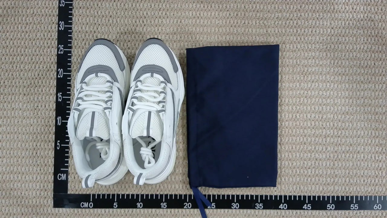 Dior B22 sneakers (30+) -4