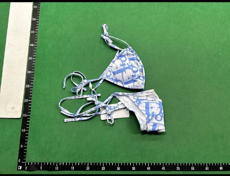 Fendi & Dior Swimsuit  -2