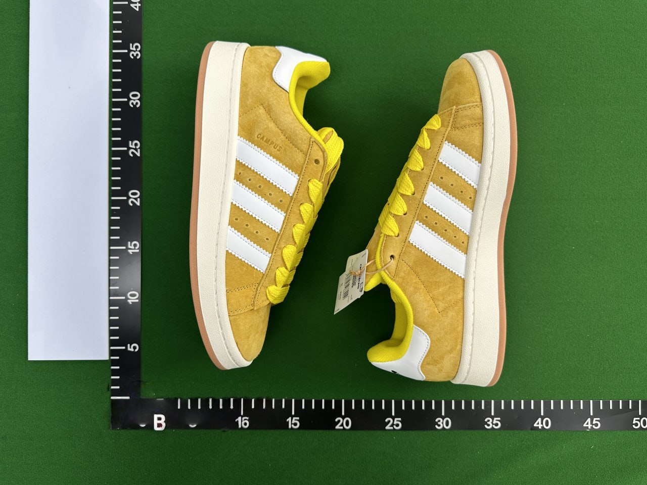 Campus shoes -4