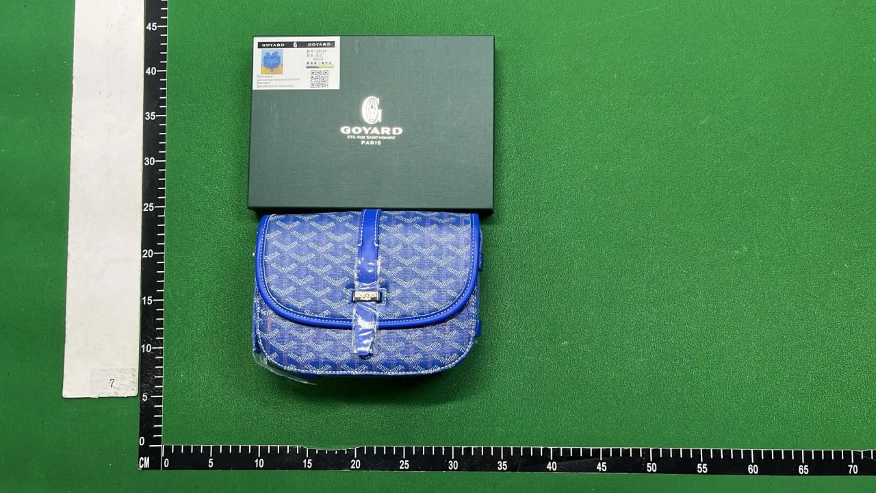 Goyard Bag -2