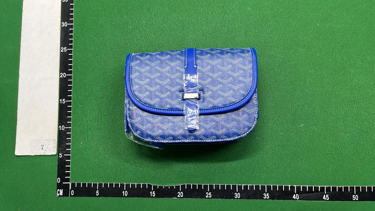 Goyard Bag -4