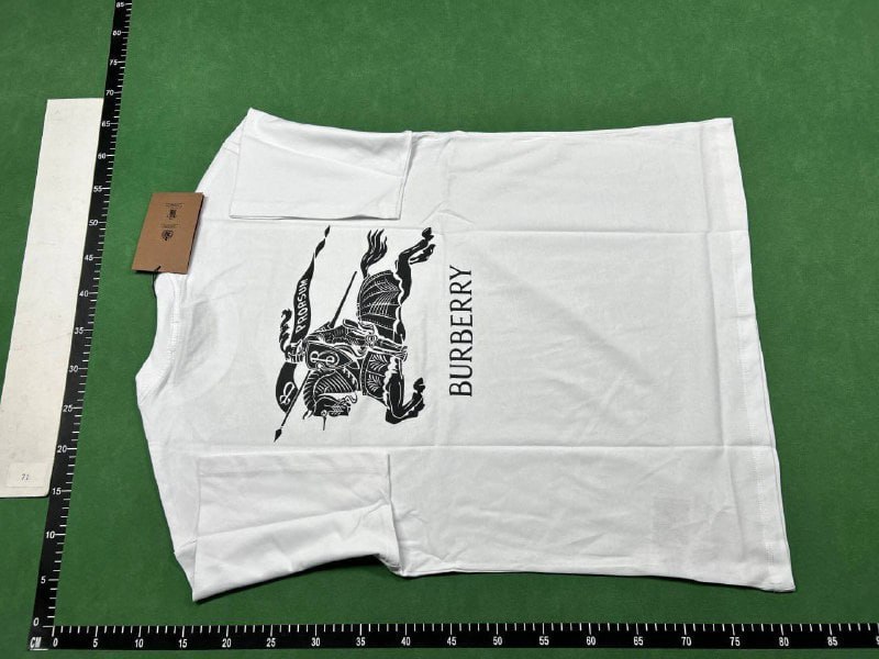  Burberry T-shirt  (22 CP) -4