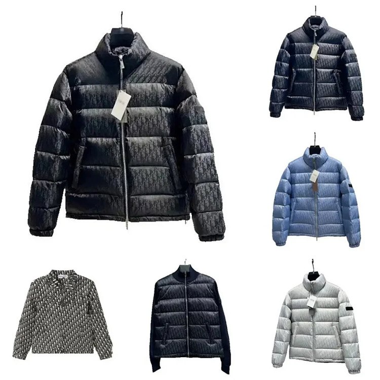 DIOR Oblique Print Solid Color Zipper Stand Collar Short Long Sleeve Down Jacket -2