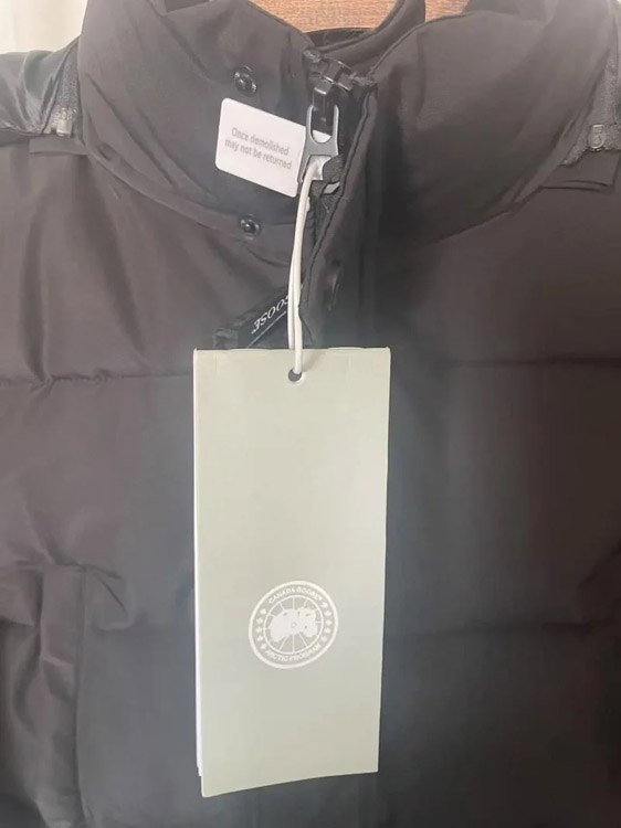 Moncler Fetuque letter zipper hooded long-sleeved sleeveless down jacket -4