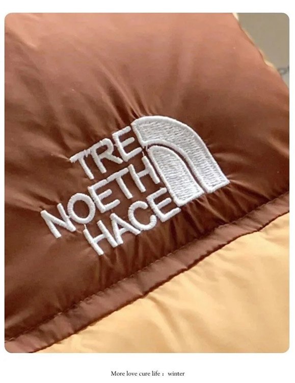 The North Face Down Vest -4